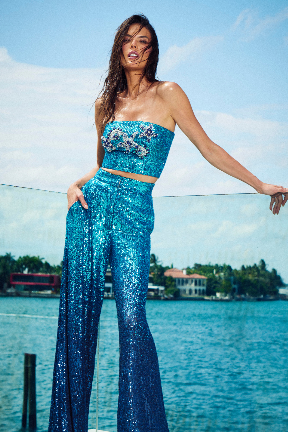 Sequin embroidered deals top