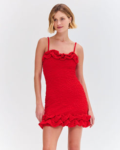 PAPILLON JACQUARD FLUTTER MINI DRESS
