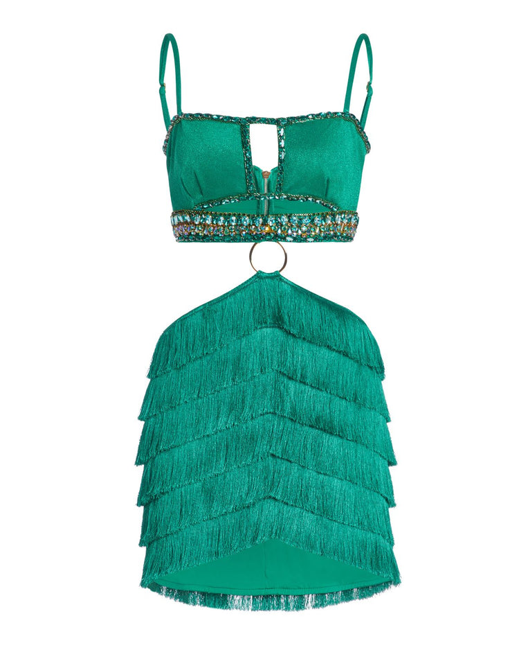 Hand-Beaded Fringe Mini Dress (RUNWAY)