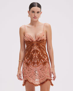 EMBROIDERED TULLE MINI DRESS (RUNWAY)