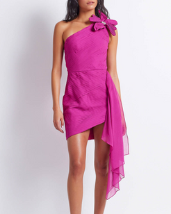 Flower Appliqué Mini Dress
