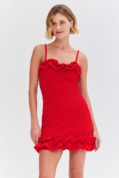 PAPILLON JACQUARD FLUTTER MINI DRESS