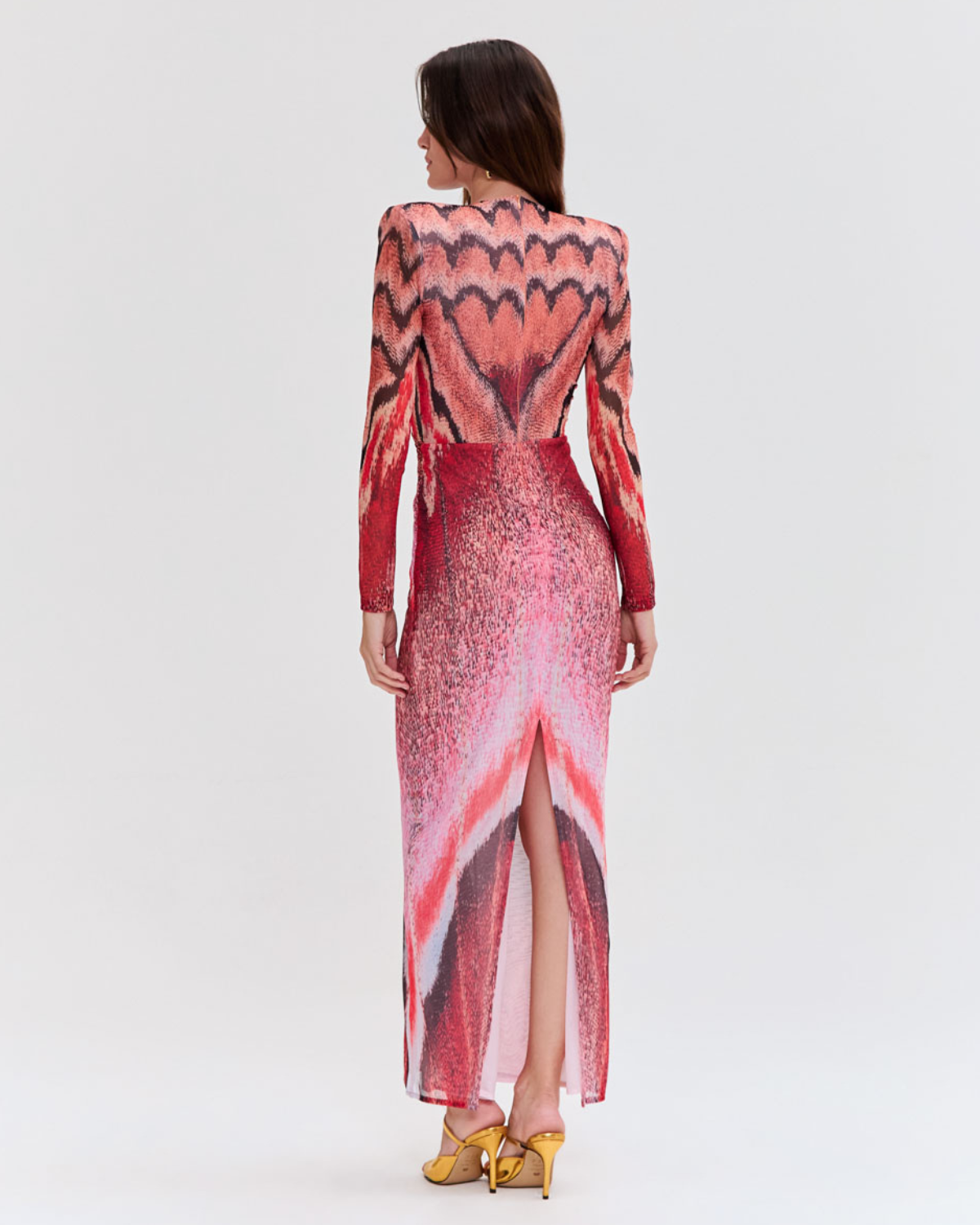 PAPILLON TULLE LONG DRESS