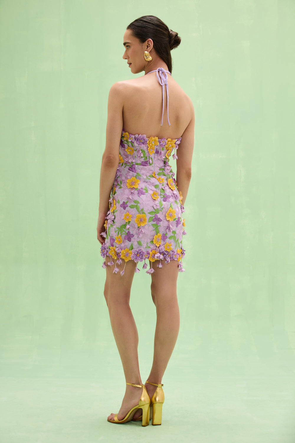 TULLE PINA EMBROIDERED MINI DRESS
