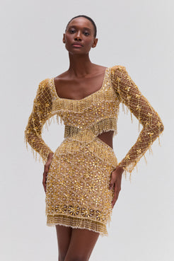 CRYSTAL EMBROIDERY LONG SLEEVE MINI DRESS