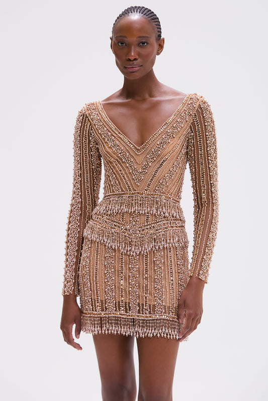 EMBROIDERY DREAMS LONG SLEEVE MINI DRESS