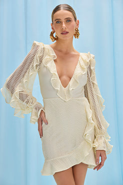 WAVE MESH LONG SLEEVE MINI DRESS