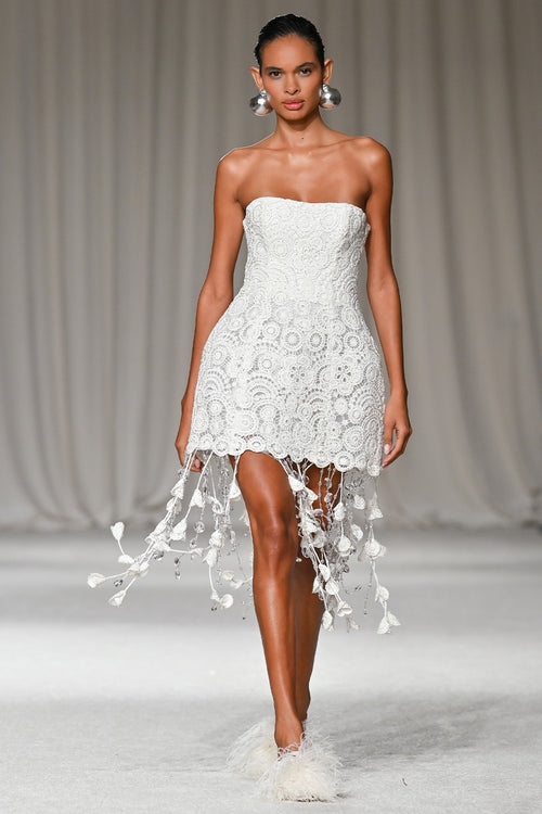 GAL EMBROIDERY FRINGE MINI DRESS (RUNWAY)