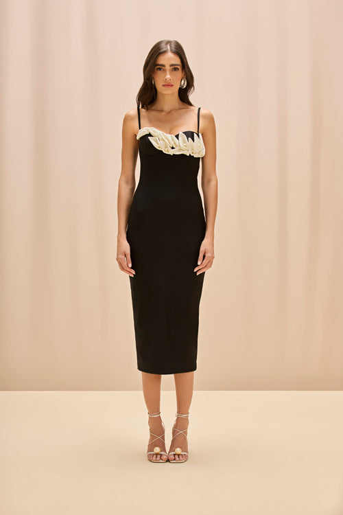 PatBO | Selene Mesh Flower Applique Midi Dress | XL | Black PatBO | Selene Mesh Flower Applique Midi Dress | XL | Black
