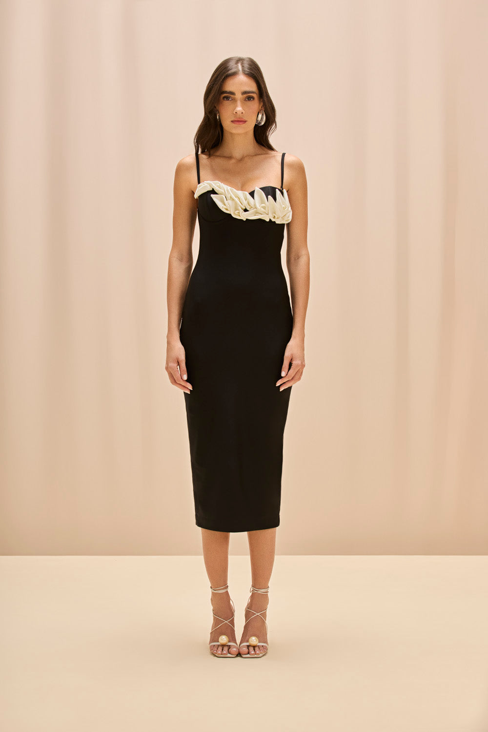 Selene Mesh Flower Applique Midi Dress